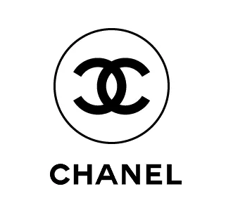 CHANEL COCO PLEATS QUILTED CALFSKIN LARGE HOBO BAG