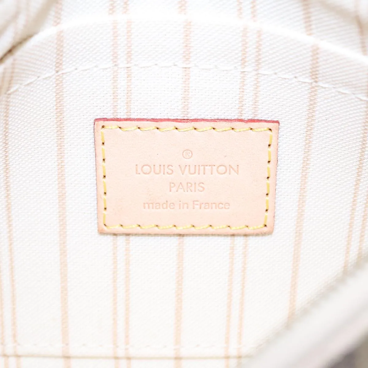Louis Vuitton Neverfull PM
