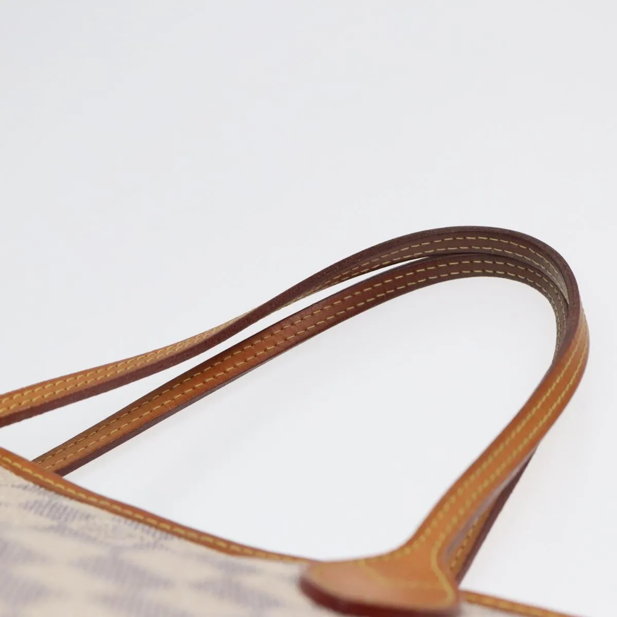 Louis Vuitton Neverfull PM